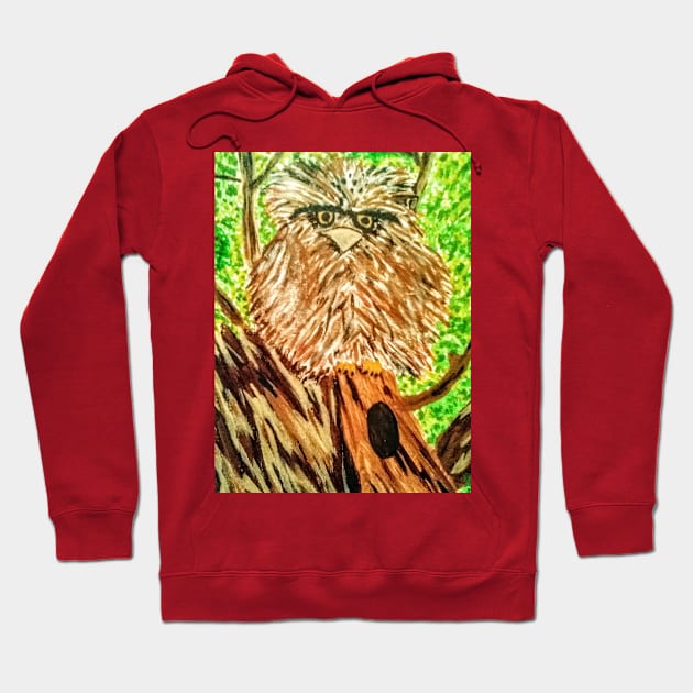 Grumpy Ol' Owl Hoodie by Terri's Fun Owls